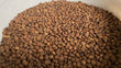 Kenyan Lenana